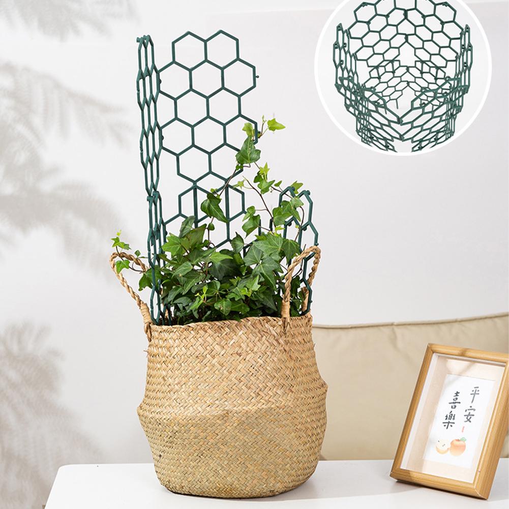 1/2/5Pcs Plastic Plant Support - Gardening Tools Usa reseña y precio