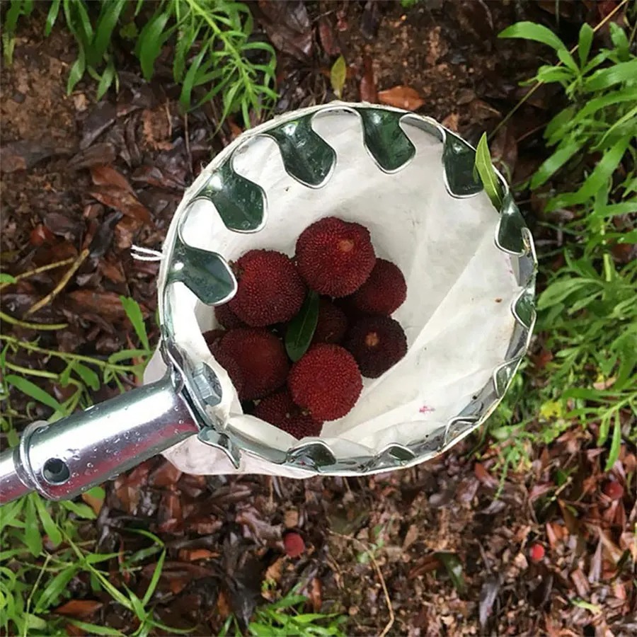 3-in-1 Fruit Harvesting Tool S - Gardening Tools Equipment reseña y precio