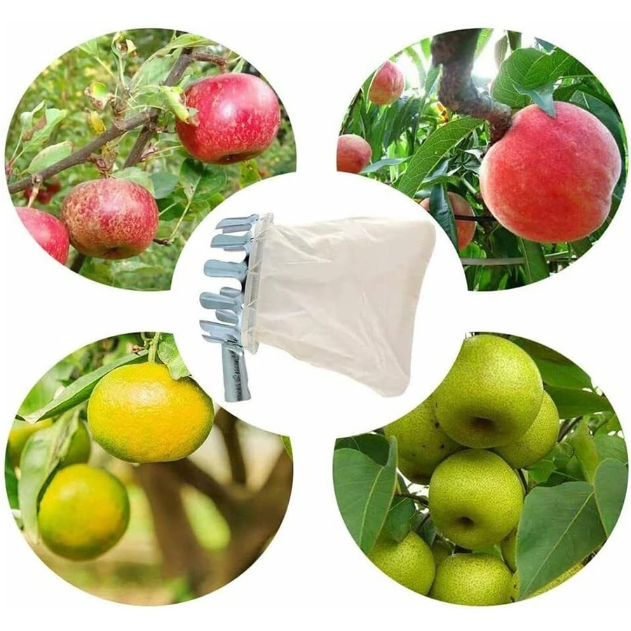 3-in-1 Fruit Harvesting Tool S - Gardening Tools Equipment reseña y precio
