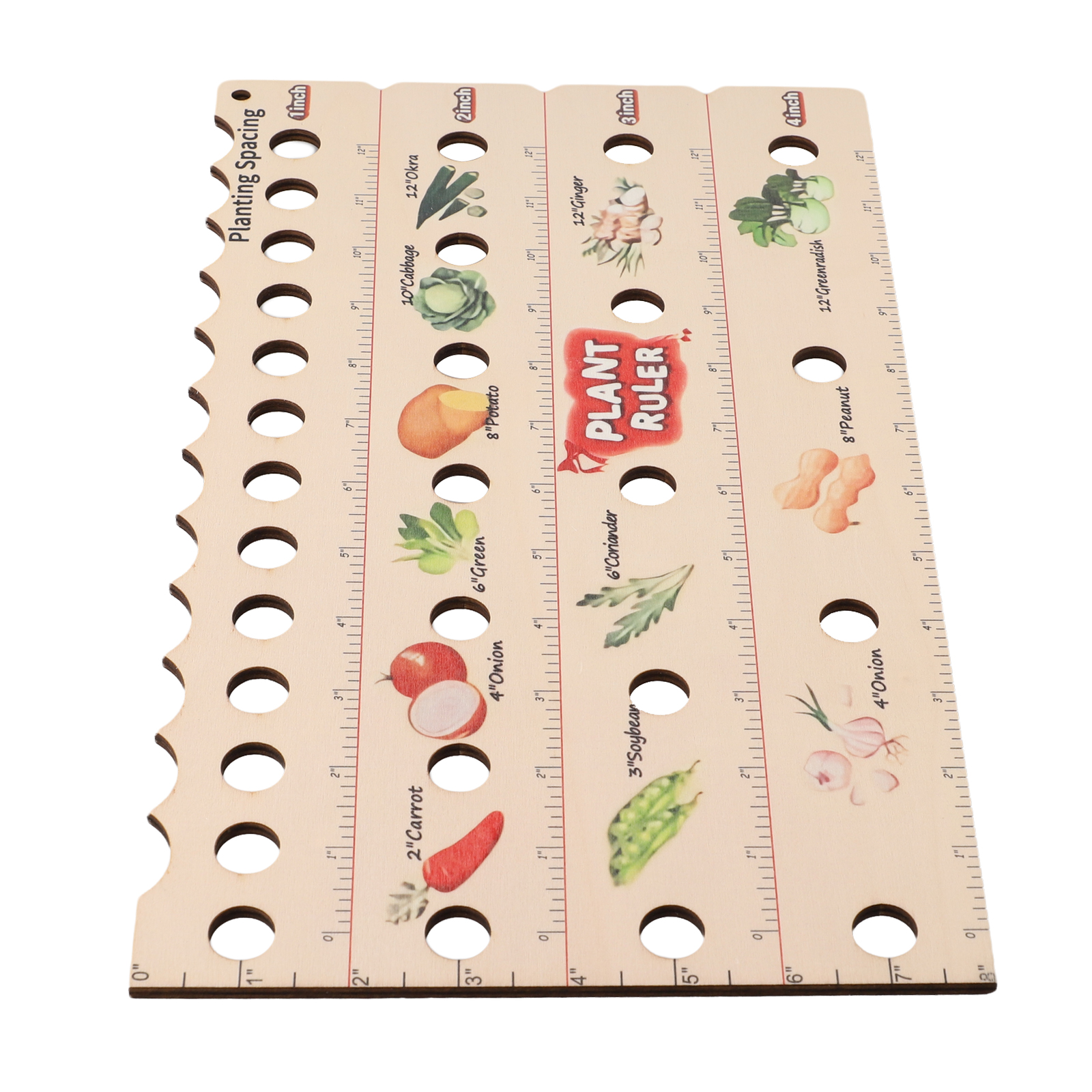High Quality Plant Ruler Plant - Gardening Tools Quality reseña y precio