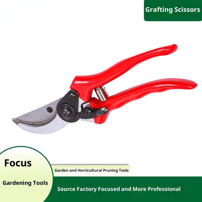 Premium Grafting Pruning Shear - Gardening Tools Quality reseña y precio