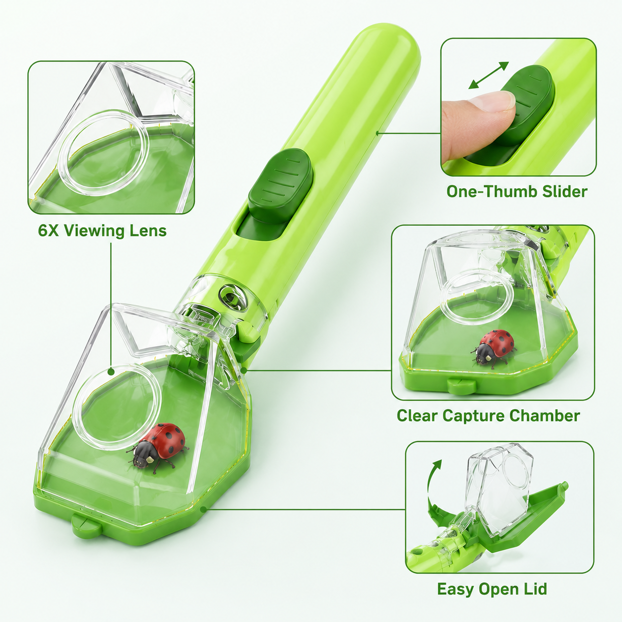 Kids Insect Catcher Box 6X Mag - Gardening Tools For Kids reseña y precio