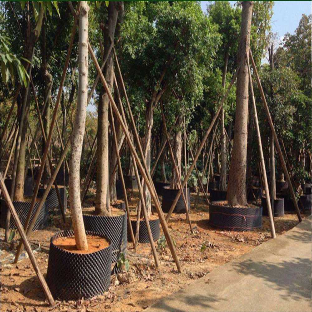Grow Container Garden Tree Bon - Gardening Tools reseña y precio