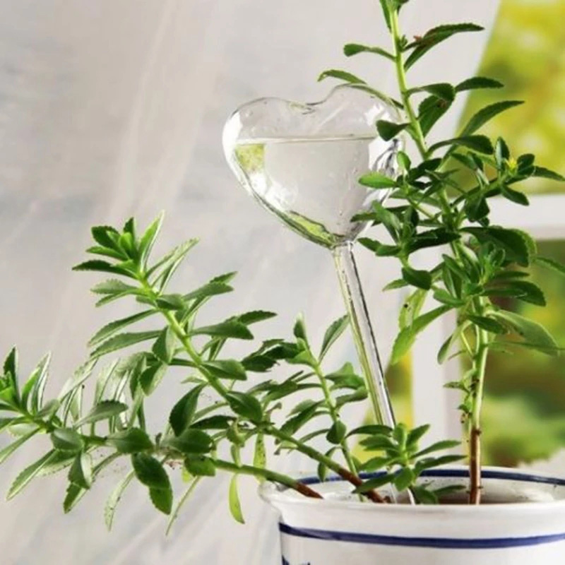House/Garden Water Houseplant  - Gardening Tools Equipment reseña y precio