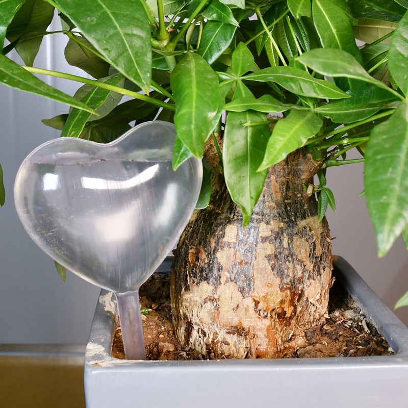 House/Garden Water Houseplant  - Gardening Tools Equipment reseña y precio