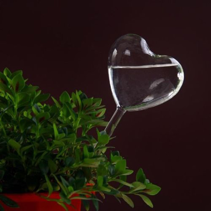 House/Garden Water Houseplant  - Gardening Tools Equipment reseña y precio