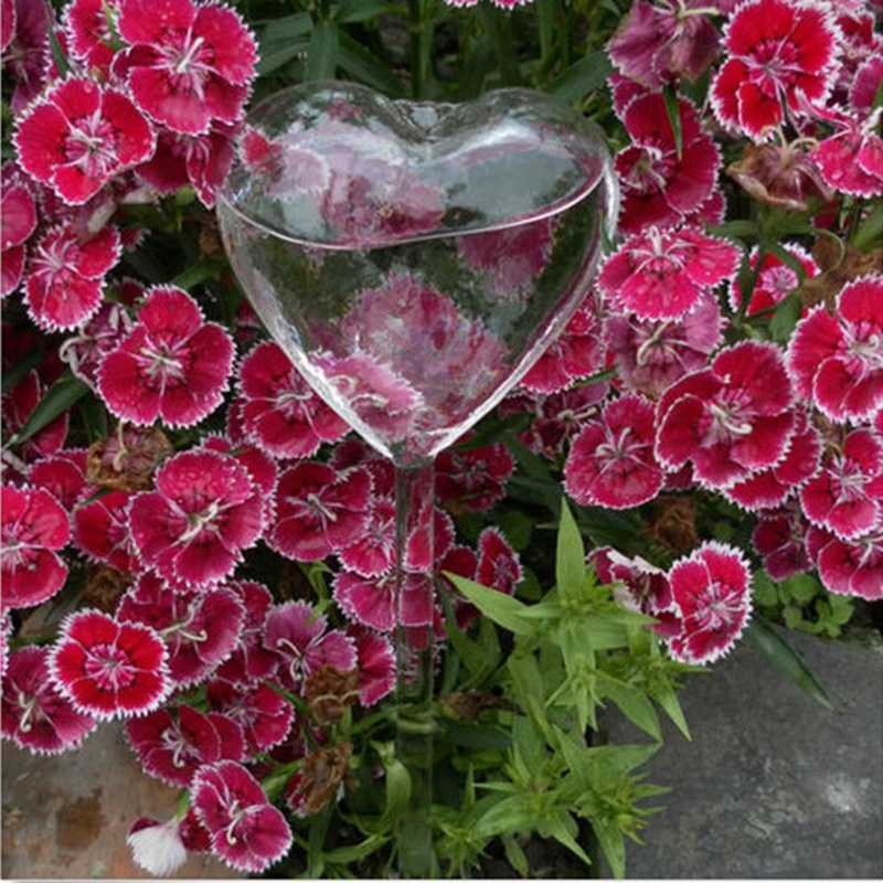 House/Garden Water Houseplant  - Gardening Tools Equipment reseña y precio