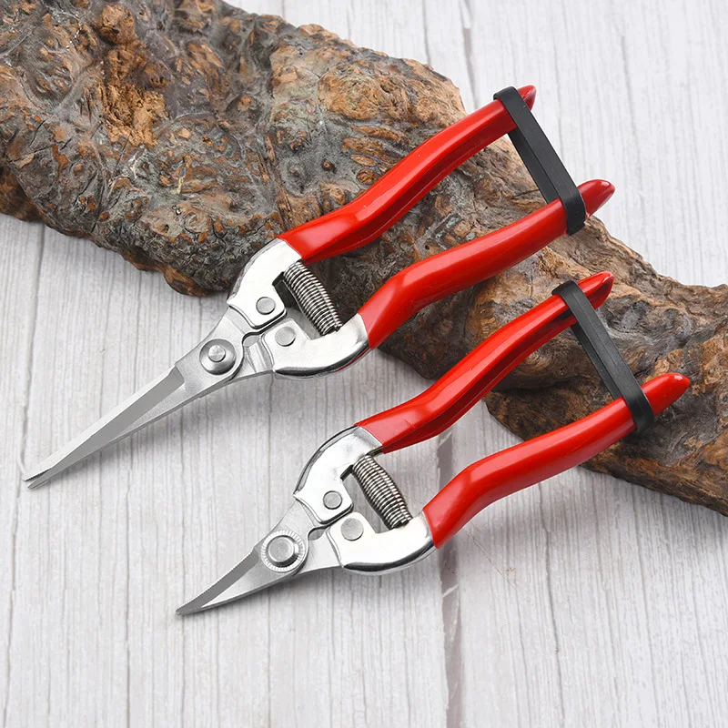 Stainless Steel Pruning Scisso - Gardening Tools Women reseña y precio
