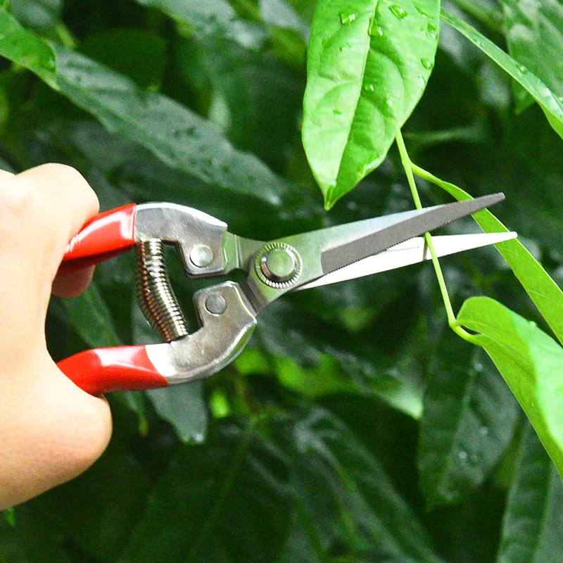 Stainless Steel Pruning Scisso - Gardening Tools Women reseña y precio