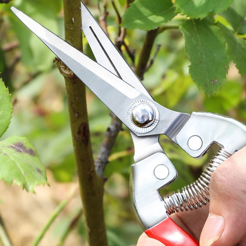 Stainless Steel Pruning Scisso - Gardening Tools Women reseña y precio