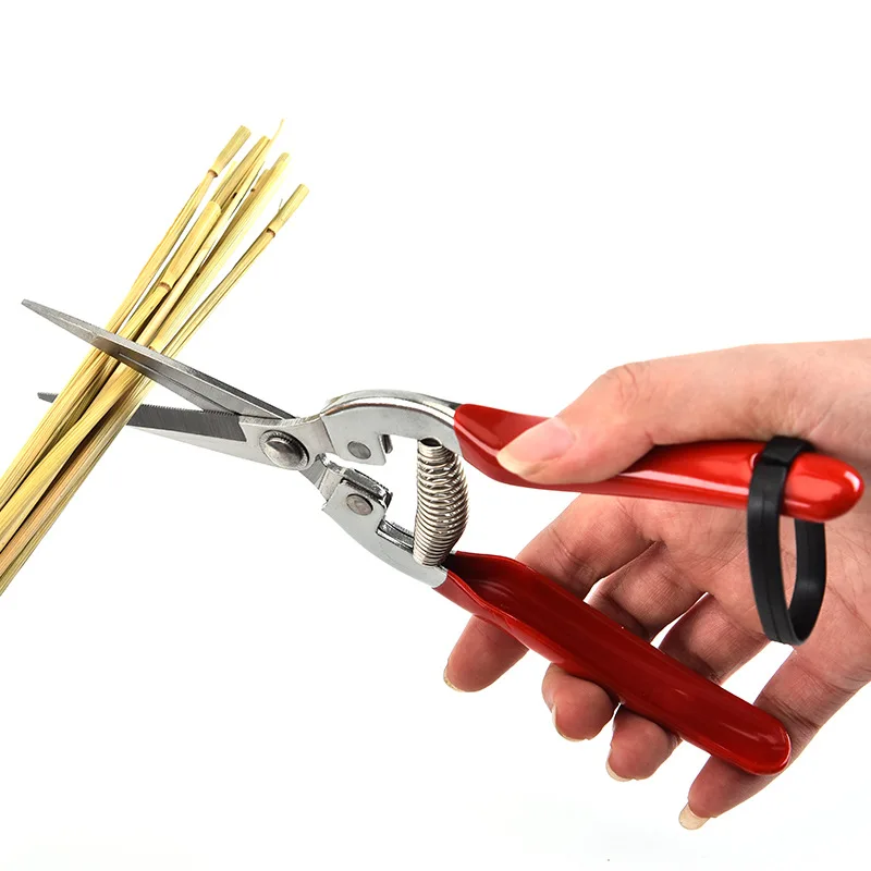 Stainless Steel Pruning Scisso - Gardening Tools Women reseña y precio