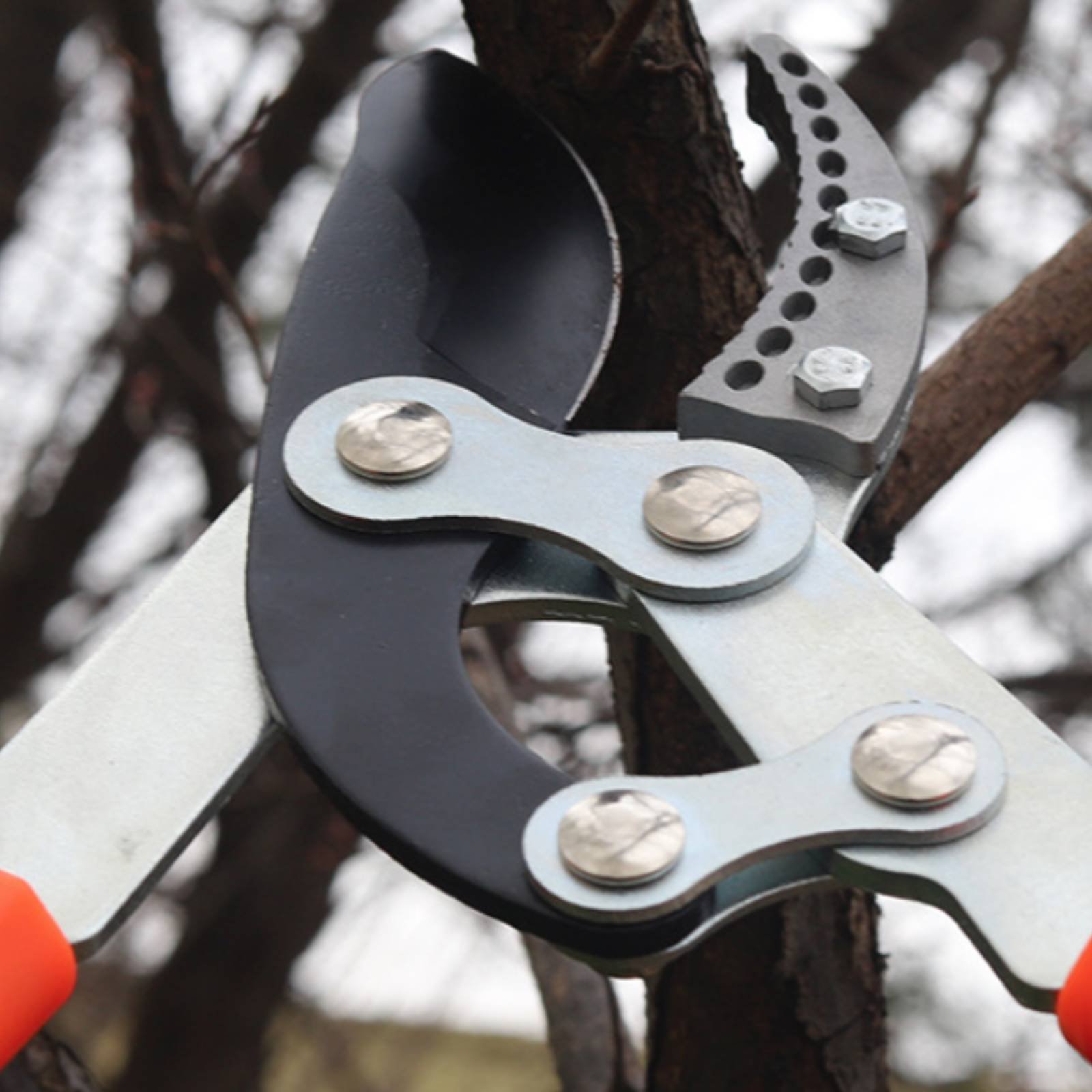 Telescopic Branch Pruners Shar - Gardening Tools reseña y precio