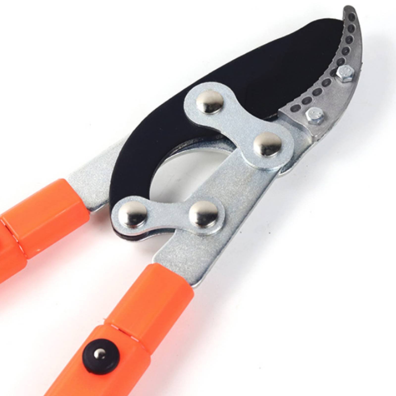 Telescopic Branch Pruners Shar - Gardening Tools reseña y precio