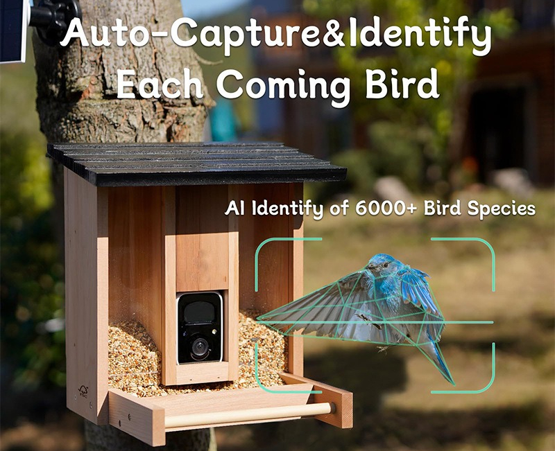 Bamboo wood intelligent bird f - Gardening Tools Definition reseña y precio