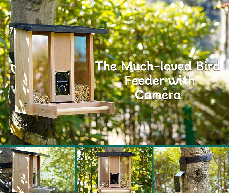 Bamboo wood intelligent bird f - Gardening Tools Definition reseña y precio