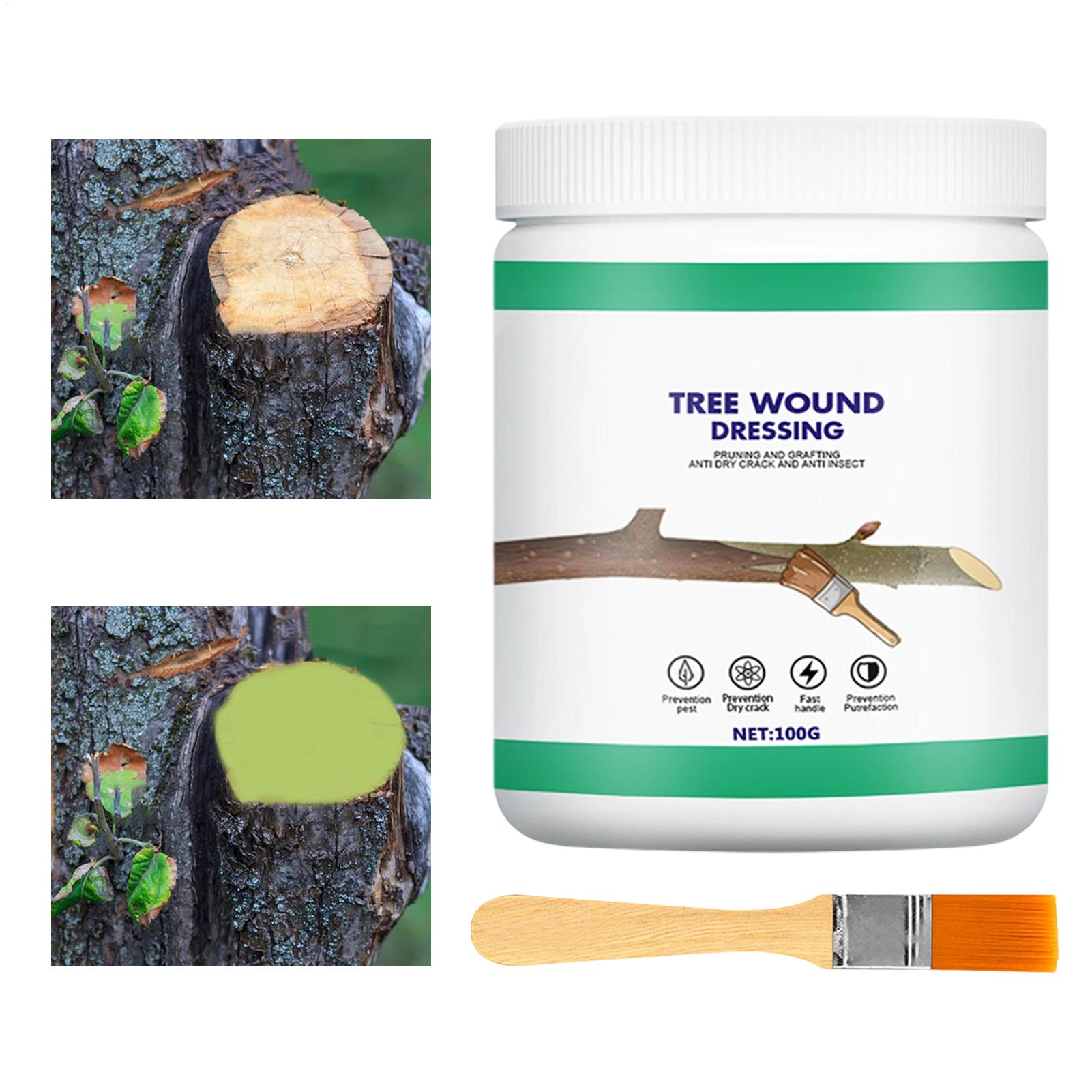 Tree Grafting Paste Tree Wound - Gardening Tools Repair reseña y precio